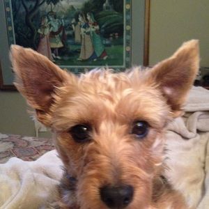 Meet your Posher, Mark